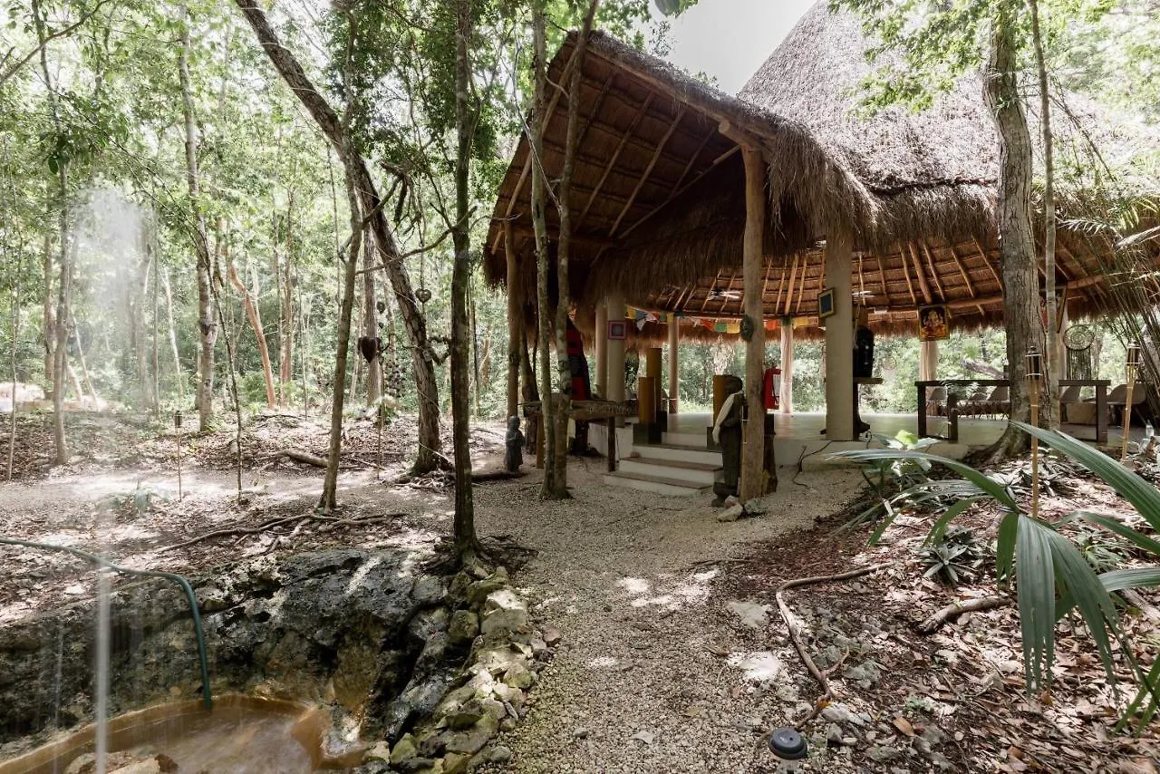 Cachito De Cielo Luxury Jungle Lodge Tulum Mexikó